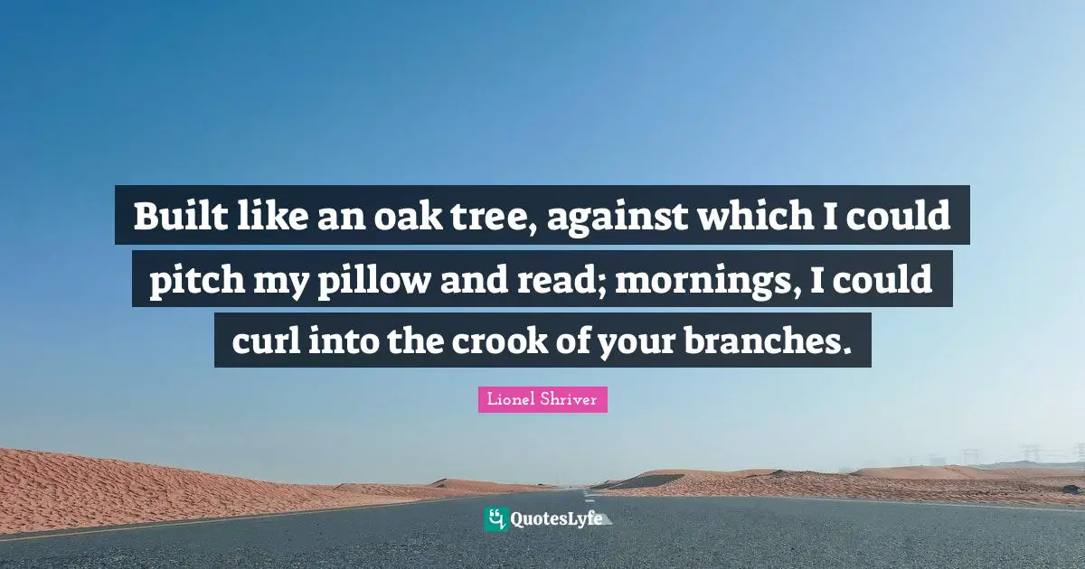 Built like an oak tree, against which I could pitch my pillow and read; mornings, I could curl into the crook of your branches.