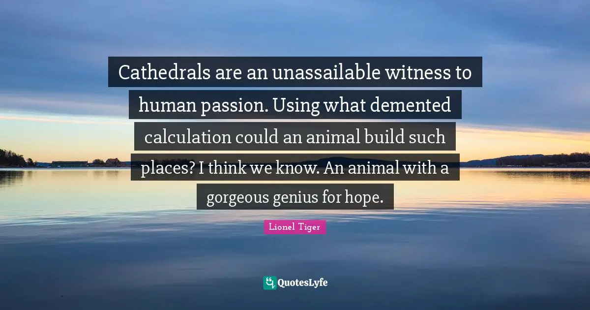 Cathedrals are an unassailable witness to human passion. Using what demented calculation could an animal build such places? I think we know. An animal with a gorgeous genius for hope.