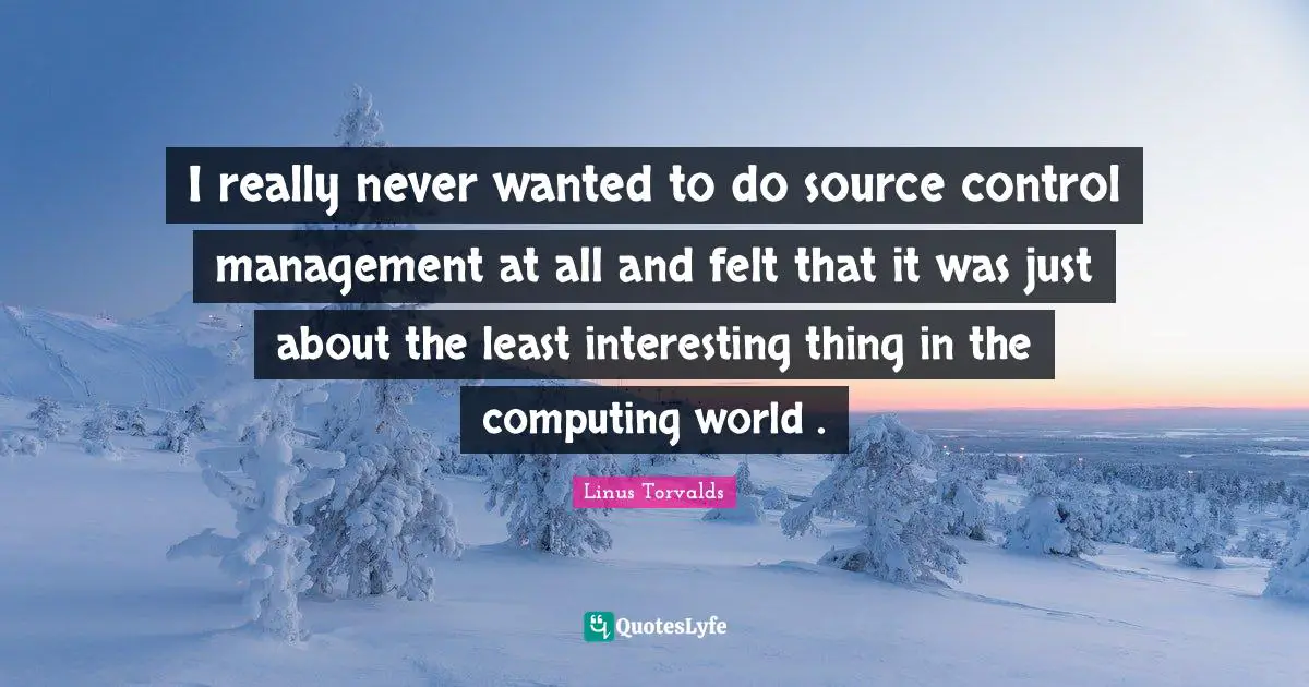 I really never wanted to do source control management at all and felt that it was just about the least interesting thing in the computing world .