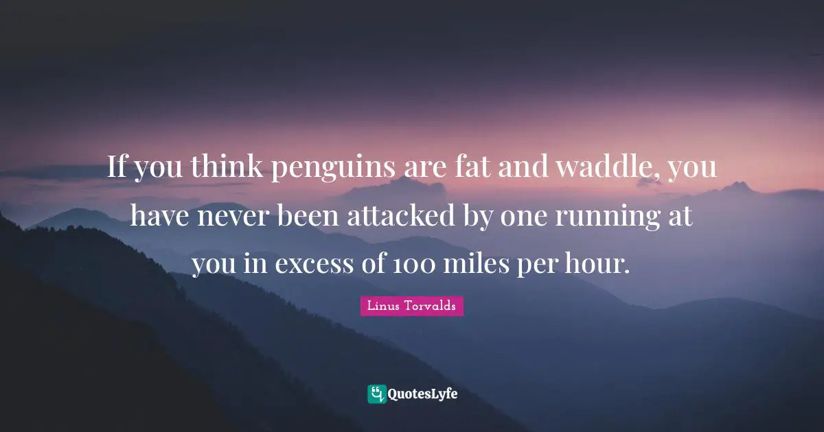 If you think penguins are fat and waddle, you have never been attacked by one running at you in excess of 100 miles per hour.
