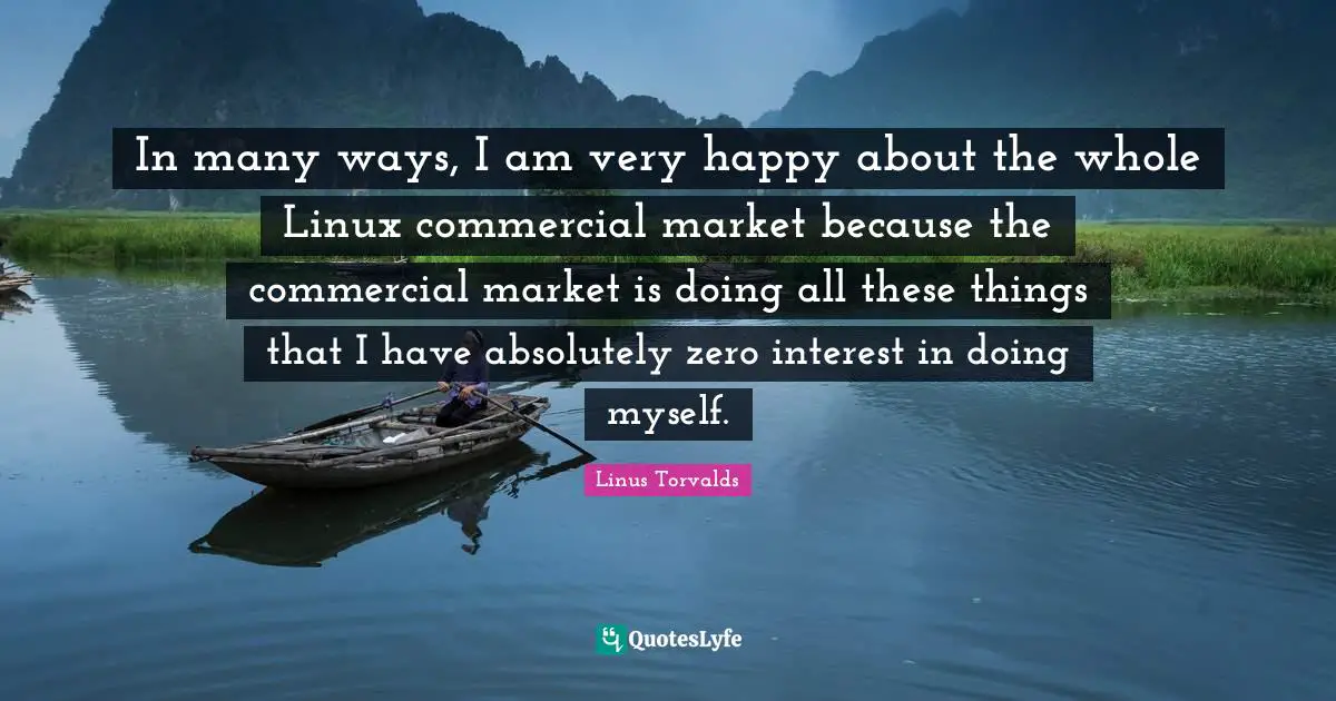 In many ways, I am very happy about the whole Linux commercial market because the commercial market is doing all these things that I have absolutely zero interest in doing myself.