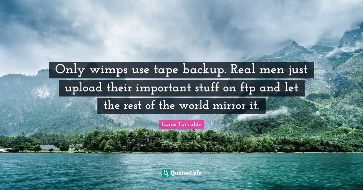 Only wimps use tape backup. Real men just upload their important stuff on ftp and let the rest of the world mirror it.