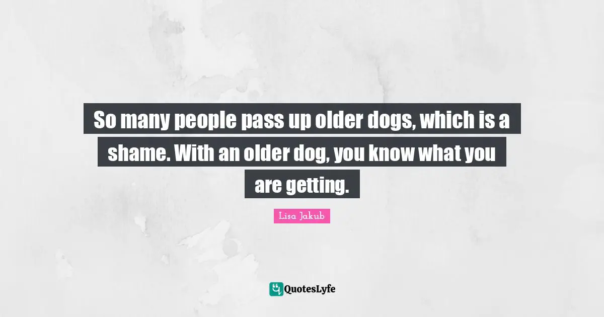 So many people pass up older dogs, which is a shame. With an older dog, you know what you are getting.