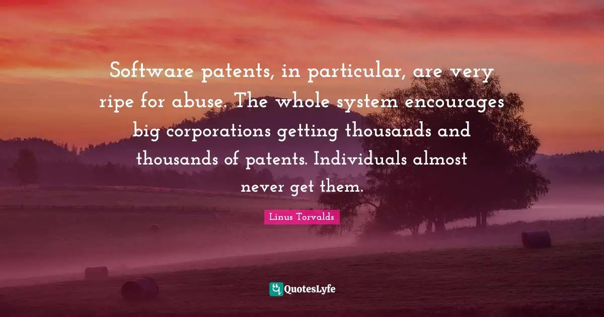 Software patents, in particular, are very ripe for abuse. The whole system encourages big corporations getting thousands and thousands of patents. Individuals almost never get them.
