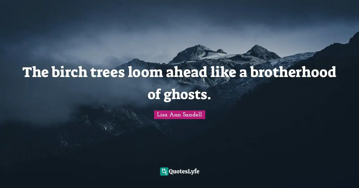 The birch trees loom ahead like a brotherhood of ghosts.