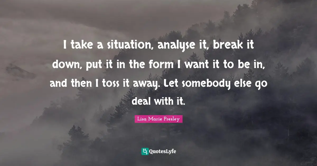 I take a situation, analyse it, break it down, put it in the form I want it to be in, and then I toss it away. Let somebody else go deal with it.