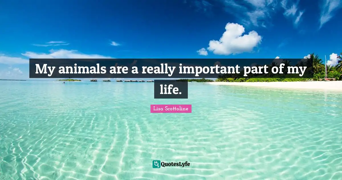 My animals are a really important part of my life.