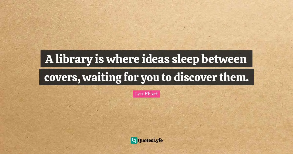 A library is where ideas sleep between covers, waiting for you to discover them.