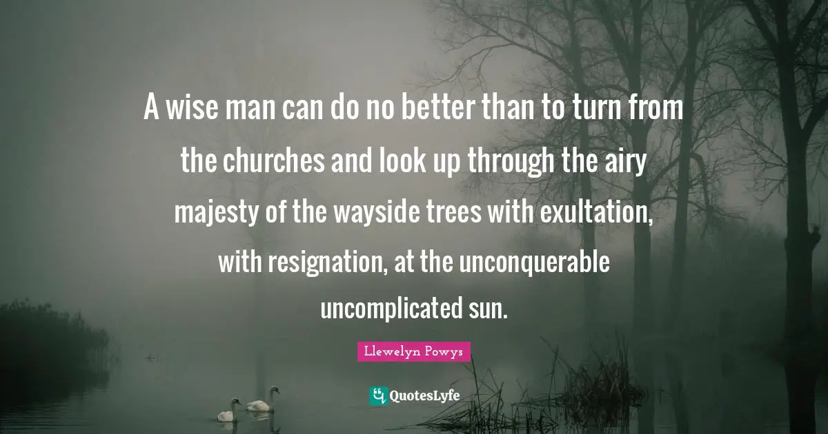 A wise man can do no better than to turn from the churches and look up through the airy majesty of the wayside trees with exultation, with resignation, at the unconquerable uncomplicated sun.