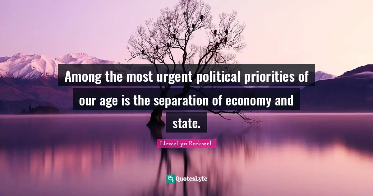 Among the most urgent political priorities of our age is the separation of economy and state.
