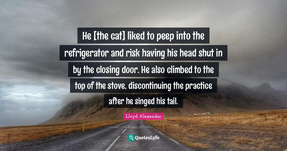 Closing Quotes: "He [the cat] liked to peep into the refrigerator and risk having his head shut in by the closing door. He also climbed to the top of the stove, discontinuing the practice after he singed his tail."
