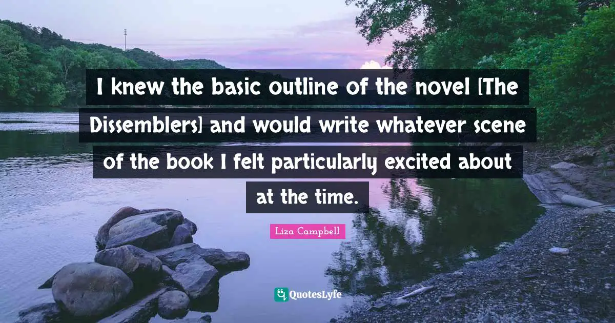 I knew the basic outline of the novel [The Dissemblers] and would write whatever scene of the book I felt particularly excited about at the time.
