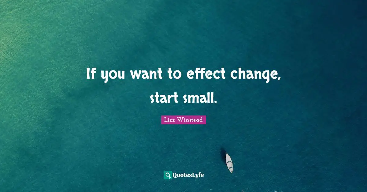 Lizz Winstead Quotes: "If you want to effect change, start small."