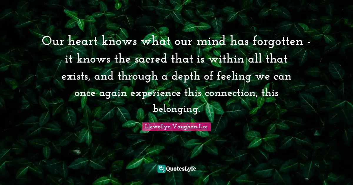 Sacred Quotes: "Our heart knows what our mind has forgotten - it knows the sacred that is within all that exists, and through a depth of feeling we can once again experience this connection, this belonging."