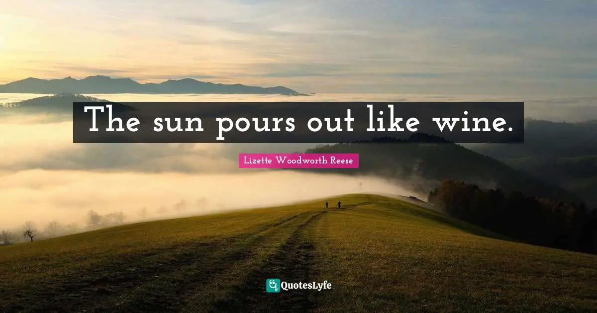 The sun pours out like wine.