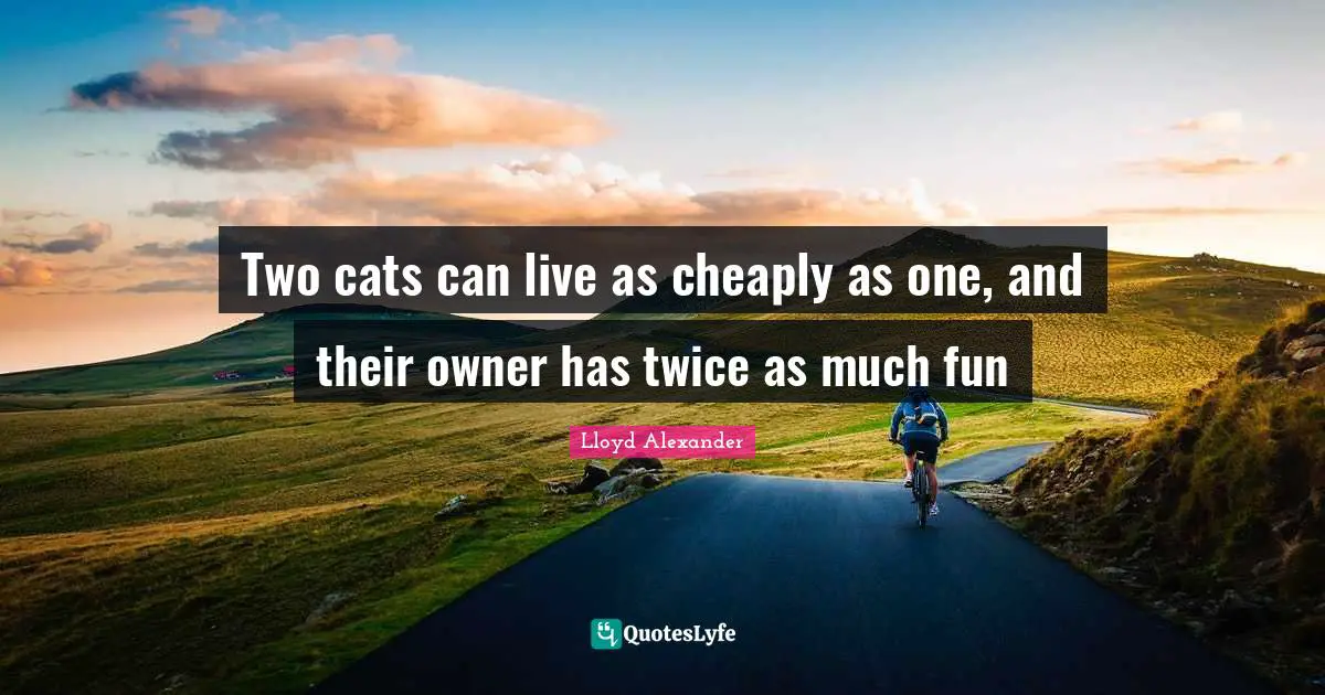 Lloyd Alexander Quotes: "Two cats can live as cheaply as one, and their owner has twice as much fun"