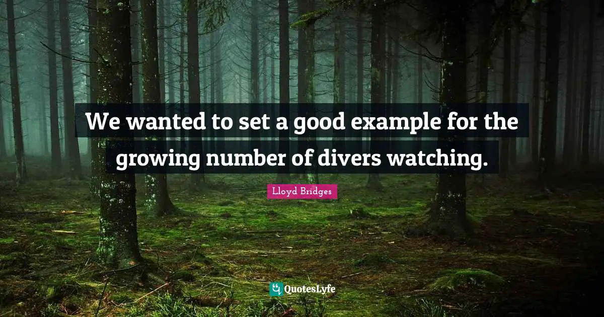 Lloyd Bridges Quotes: "We wanted to set a good example for the growing number of divers watching."