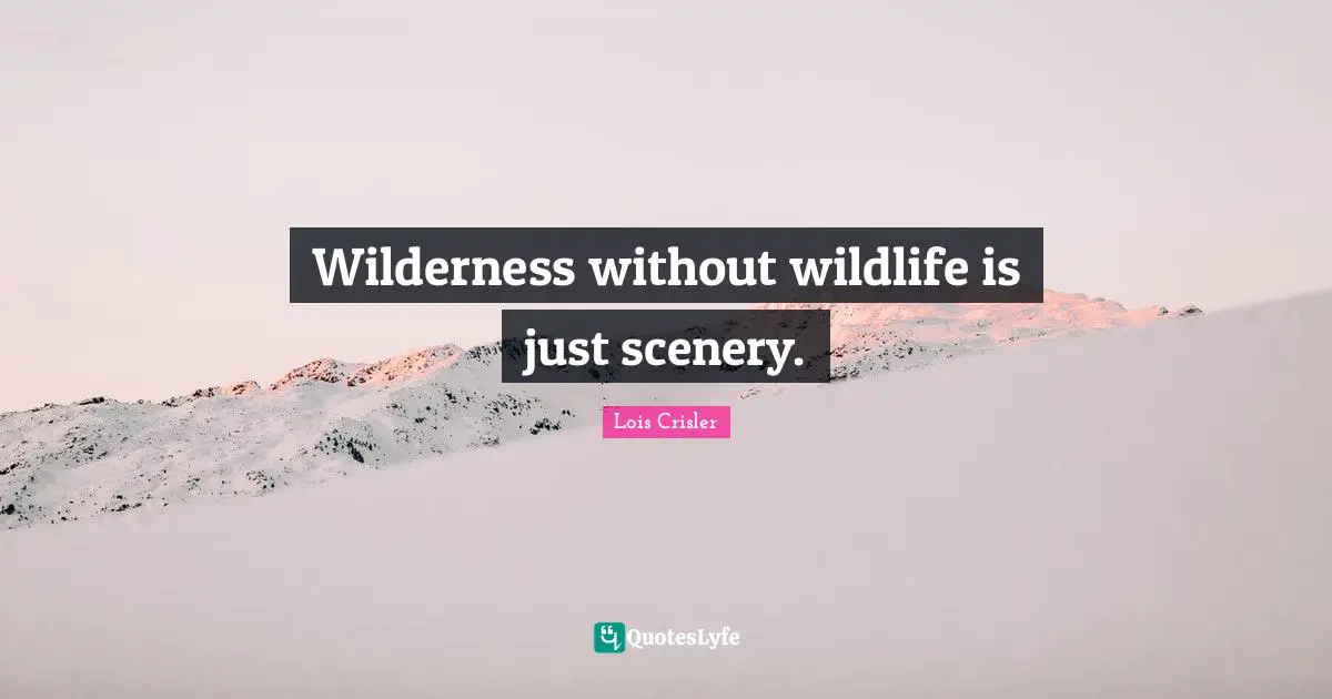 Wilderness without wildlife is just scenery.