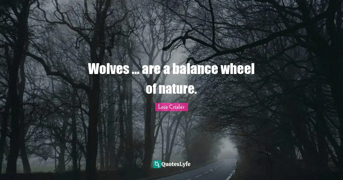 Wolves ... are a balance wheel of nature.