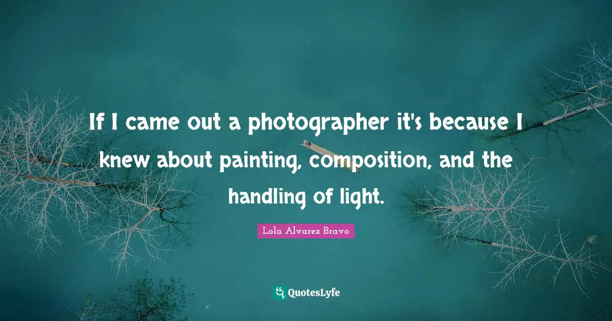 If I came out a photographer it's because I knew about painting, composition, and the handling of light.