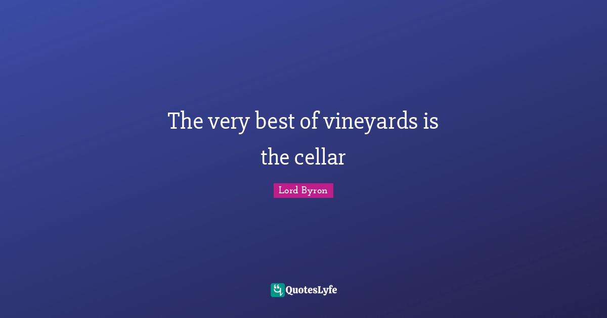 The very best of vineyards is the cellar