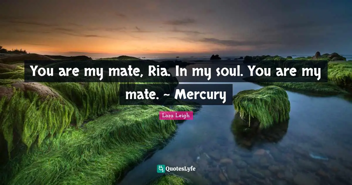 You are my mate, Ria. In my soul. You are my mate. ~ Mercury