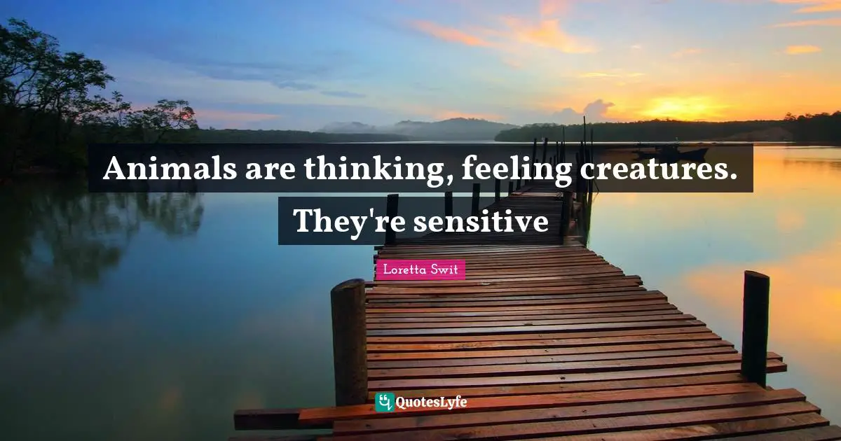Animals are thinking, feeling creatures. They're sensitive