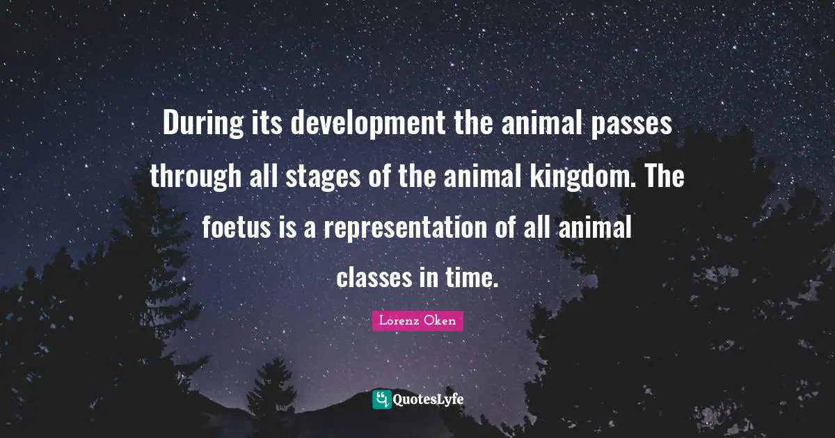 During its development the animal passes through all stages of the animal kingdom. The foetus is a representation of all animal classes in time.