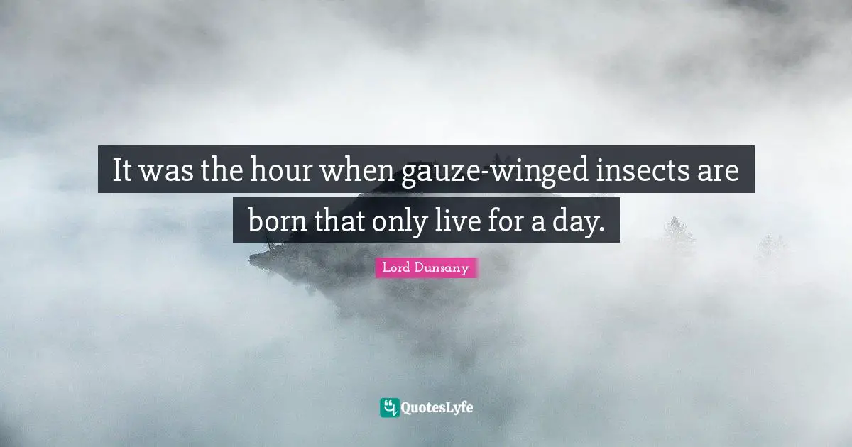 It was the hour when gauze-winged insects are born that only live for a day.