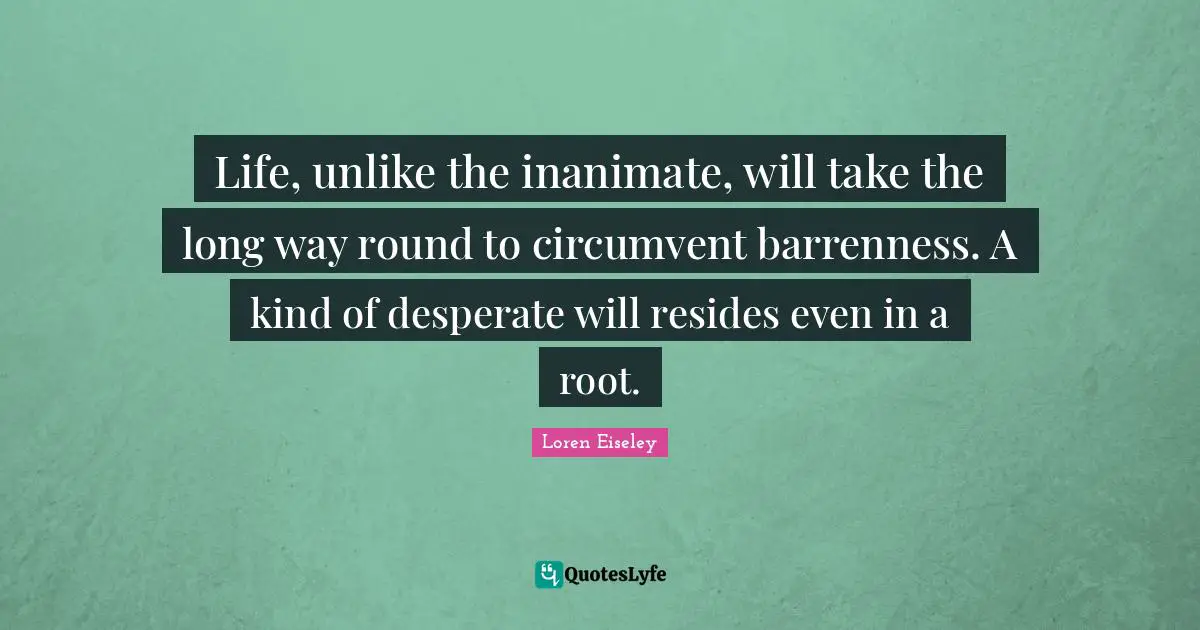 Life, unlike the inanimate, will take the long way round to circumvent barrenness. A kind of desperate will resides even in a root.