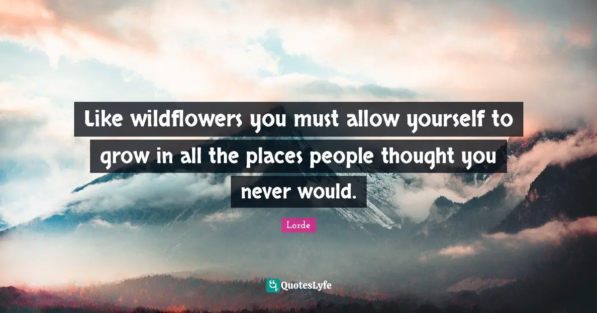 Lorde Quotes: "Like wildflowers you must allow yourself to grow in all the places people thought you never would."