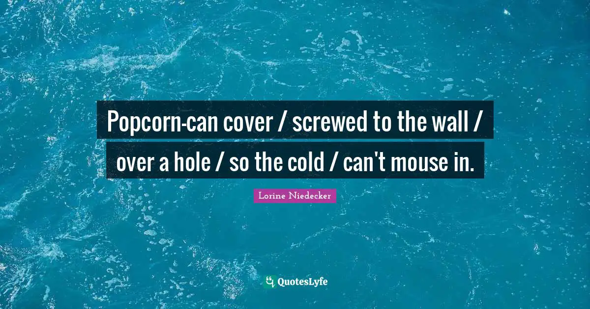 Popcorn-can cover / screwed to the wall / over a hole / so the cold / can't mouse in.