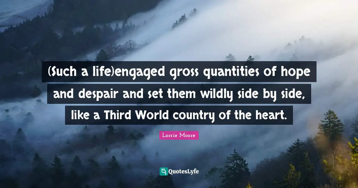 (Such a life)engaged gross quantities of hope and despair and set them wildly side by side, like a Third World country of the heart.