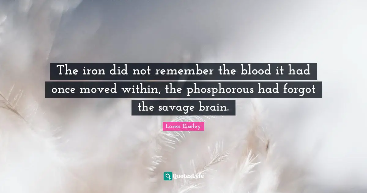 The iron did not remember the blood it had once moved within, the phosphorous had forgot the savage brain.