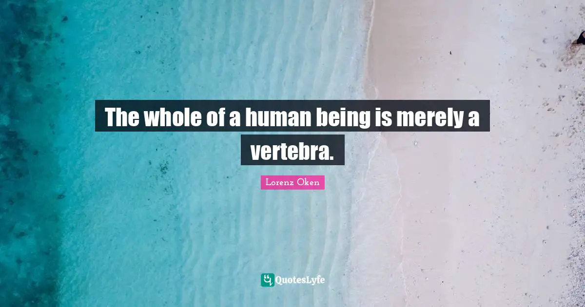 The whole of a human being is merely a vertebra.