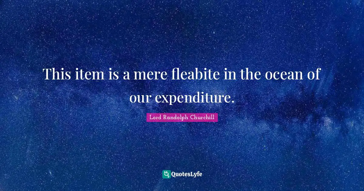 This item is a mere fleabite in the ocean of our expenditure.