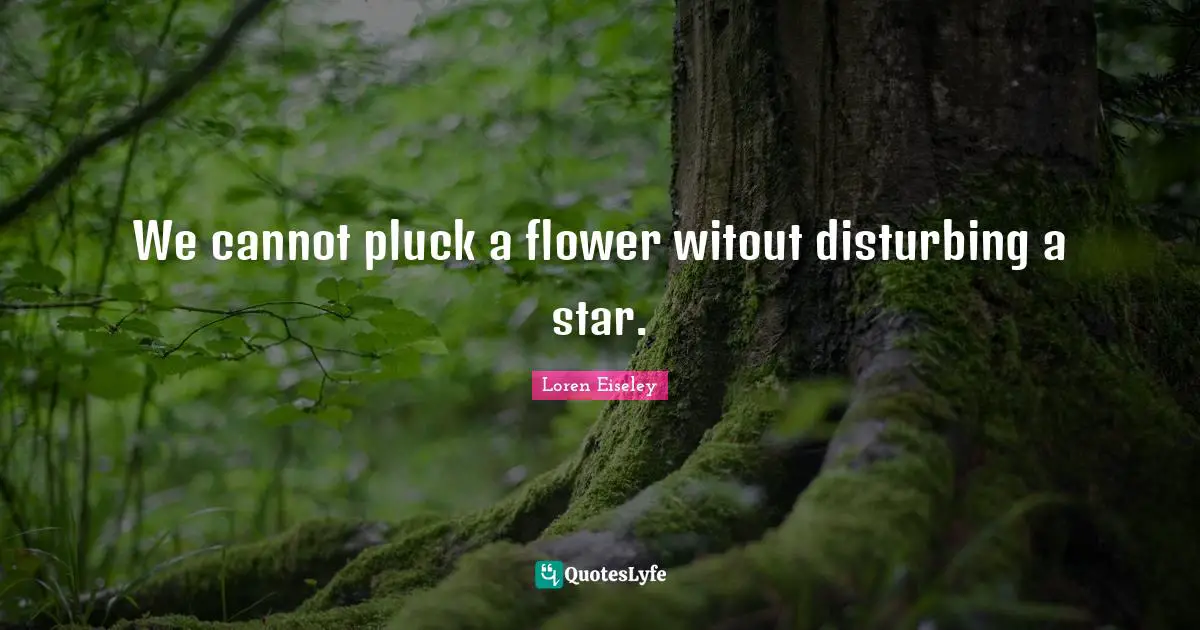 We cannot pluck a flower witout disturbing a star.