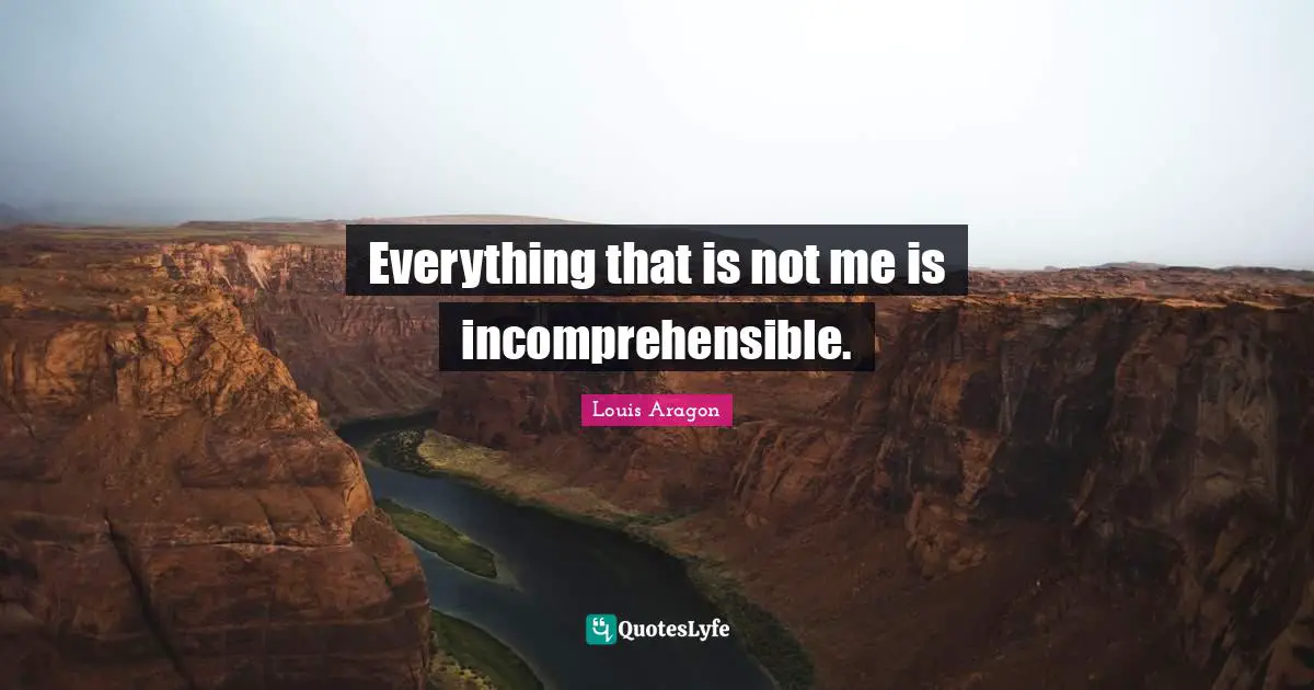 Everything that is not me is incomprehensible.