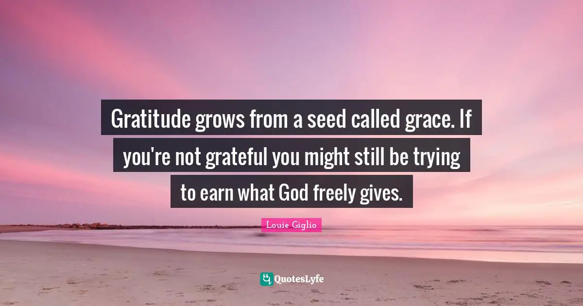 Be Grateful Quotes: "Gratitude grows from a seed called grace. If you're not grateful you might still be trying to earn what God freely gives."