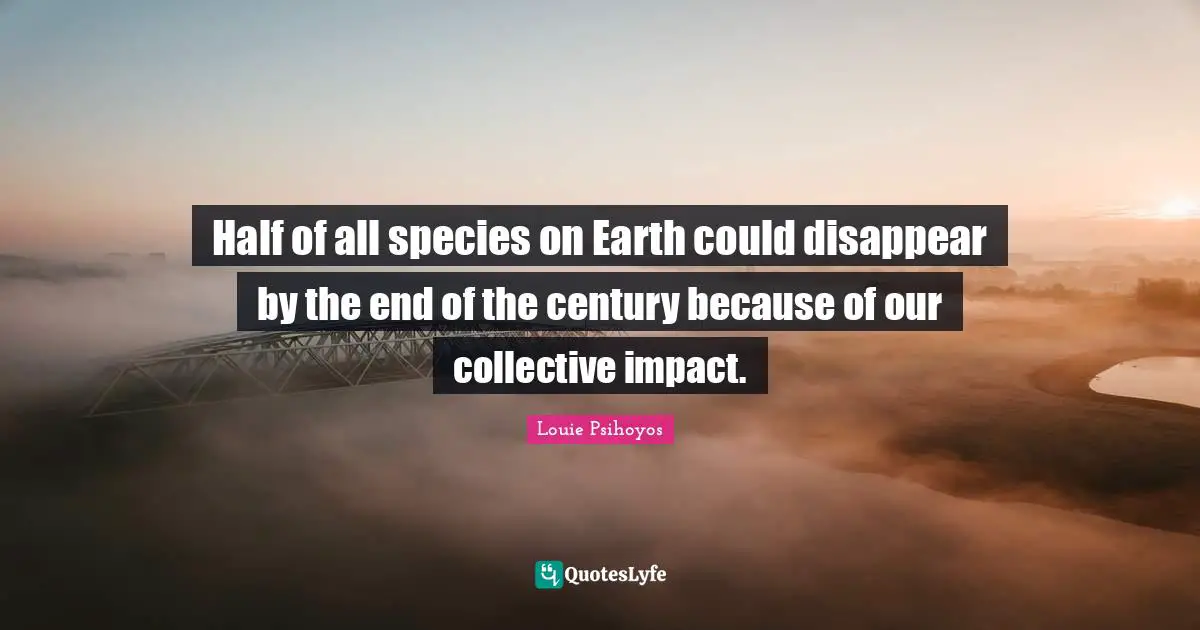 Half of all species on Earth could disappear by the end of the century because of our collective impact.