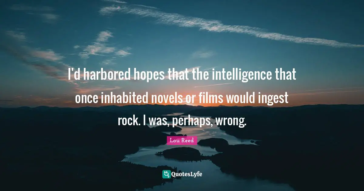 I'd harbored hopes that the intelligence that once inhabited novels or films would ingest rock. I was, perhaps, wrong.