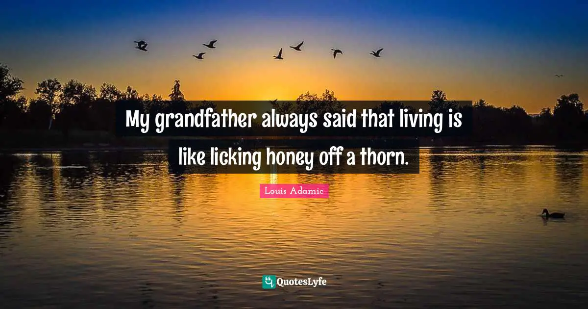 Honey Quotes: "My grandfather always said that living is like licking honey off a thorn."
