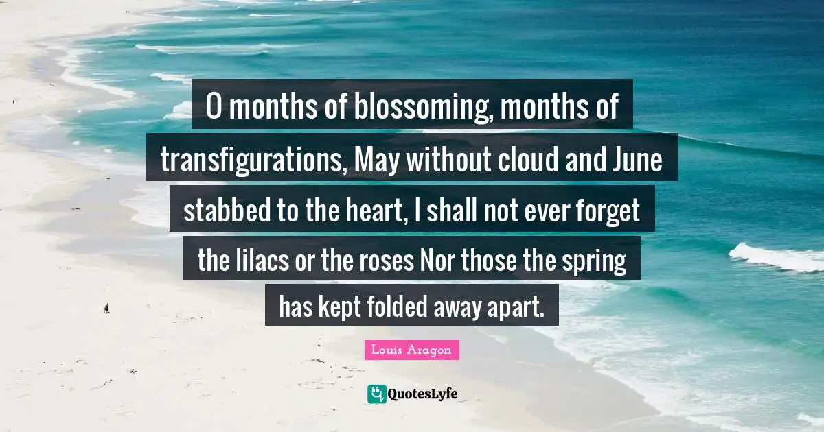 O months of blossoming, months of transfigurations, May without cloud and June stabbed to the heart, I shall not ever forget the lilacs or the roses Nor those the spring has kept folded away apart.