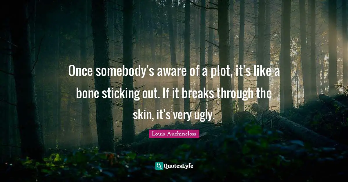 Once somebody's aware of a plot, it's like a bone sticking out. If it breaks through the skin, it's very ugly.