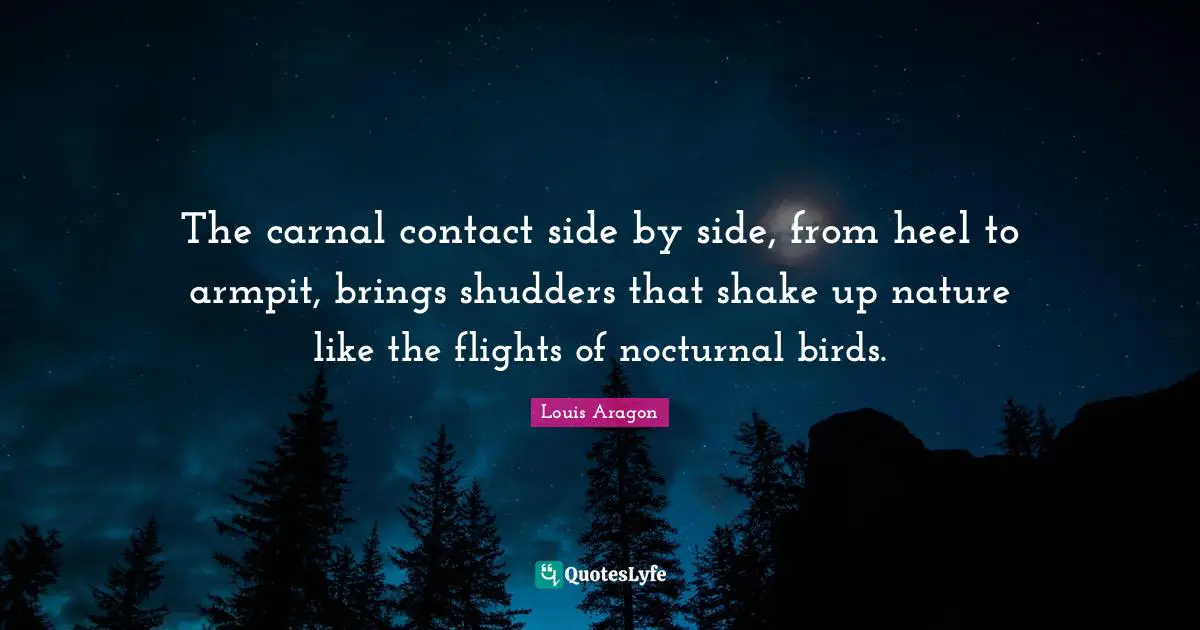 The carnal contact side by side, from heel to armpit, brings shudders that shake up nature like the flights of nocturnal birds.