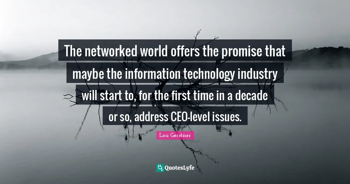 World Issues Quotes: "The networked world offers the promise that maybe the information technology industry will start to, for the first time in a decade or so, address CEO-level issues."