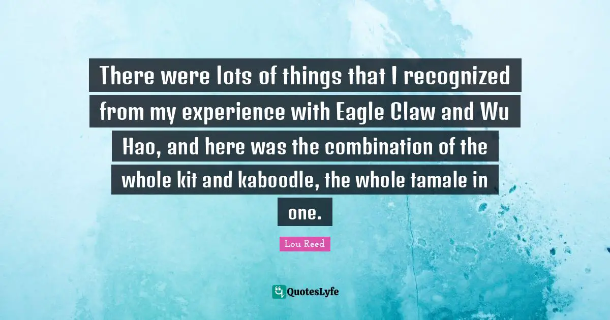 There were lots of things that I recognized from my experience with Eagle Claw and Wu Hao, and here was the combination of the whole kit and kaboodle, the whole tamale in one.