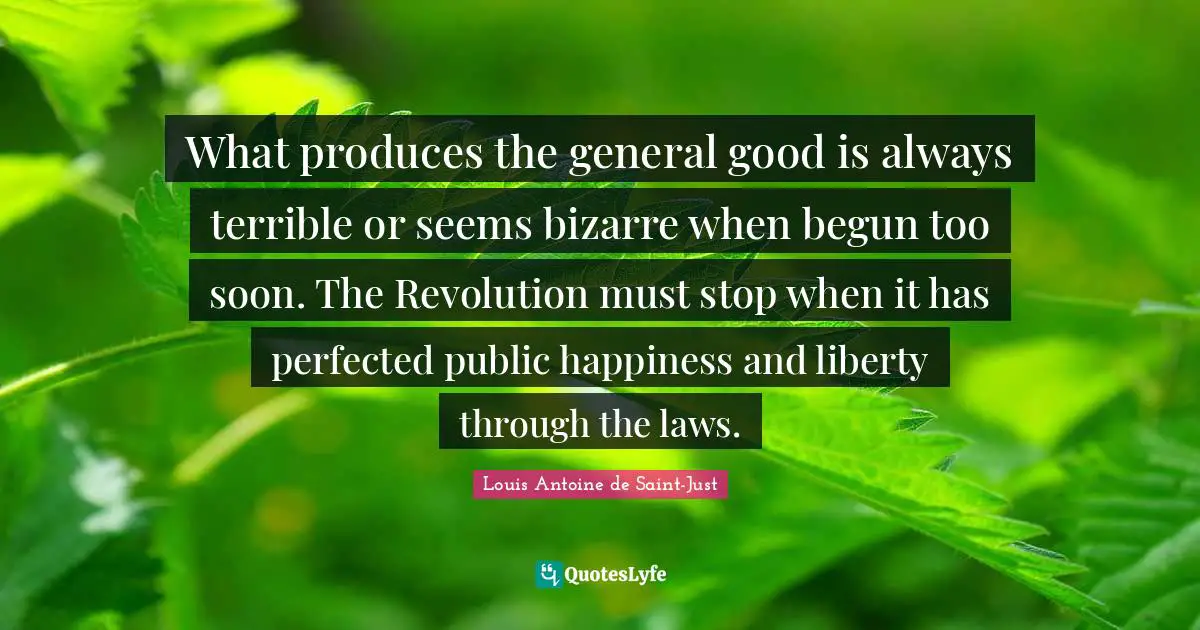 What produces the general good is always terrible or seems bizarre when begun too soon. The Revolution must stop when it has perfected public happiness and liberty through the laws.