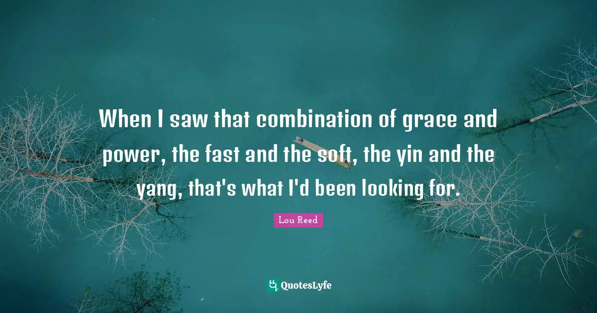 When I saw that combination of grace and power, the fast and the soft, the yin and the yang, that's what I'd been looking for.
