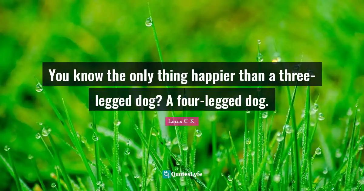 Louis C.K. Quotes: "You know the only thing happier than a three-legged dog? A four-legged dog."